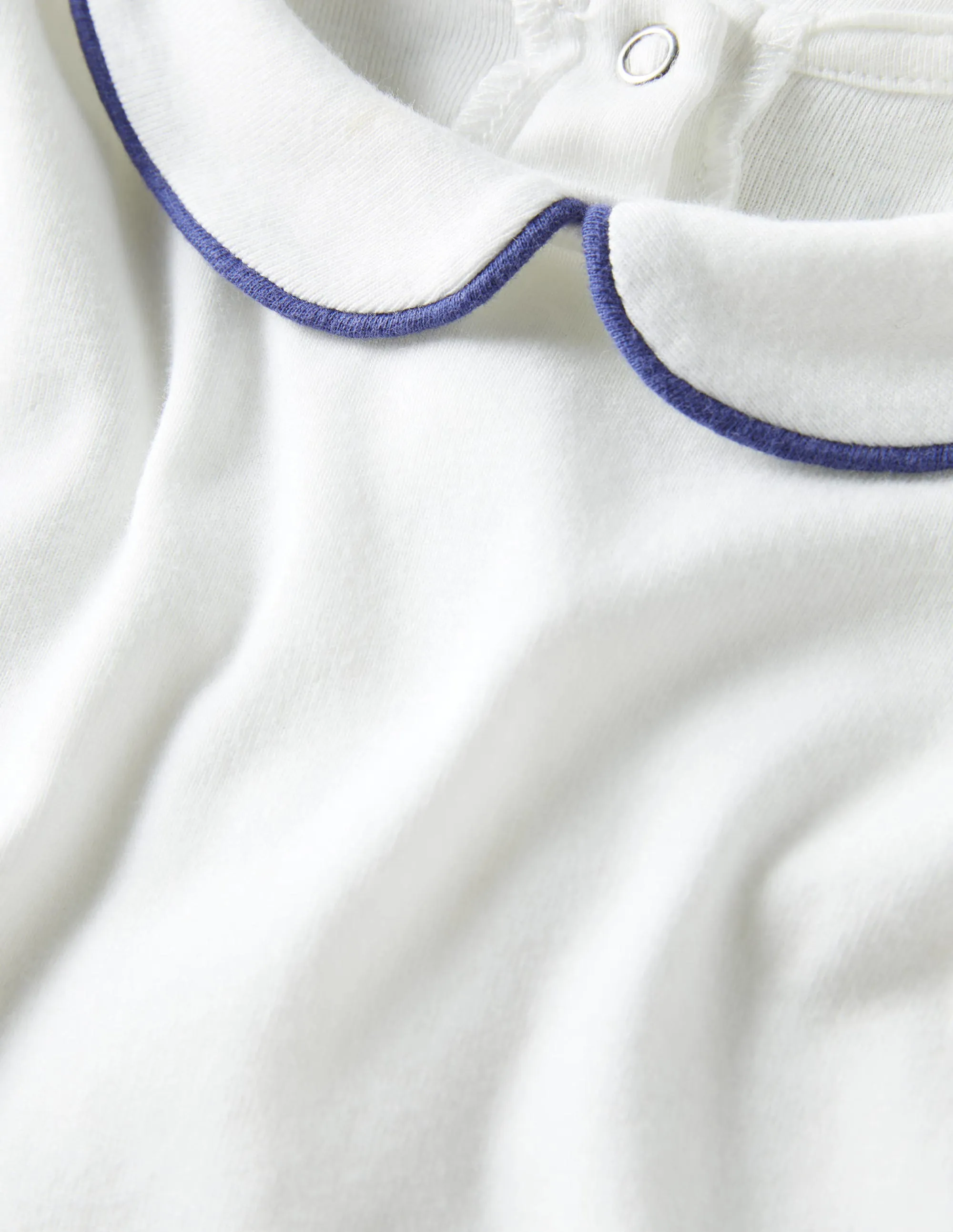 Collared Body-Ivory