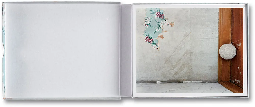 Gathered Leaves Postcards