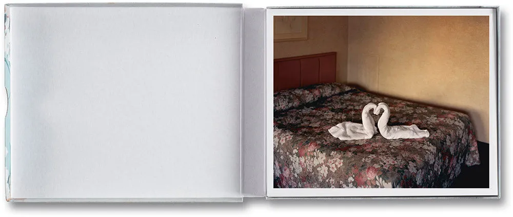 Gathered Leaves Postcards