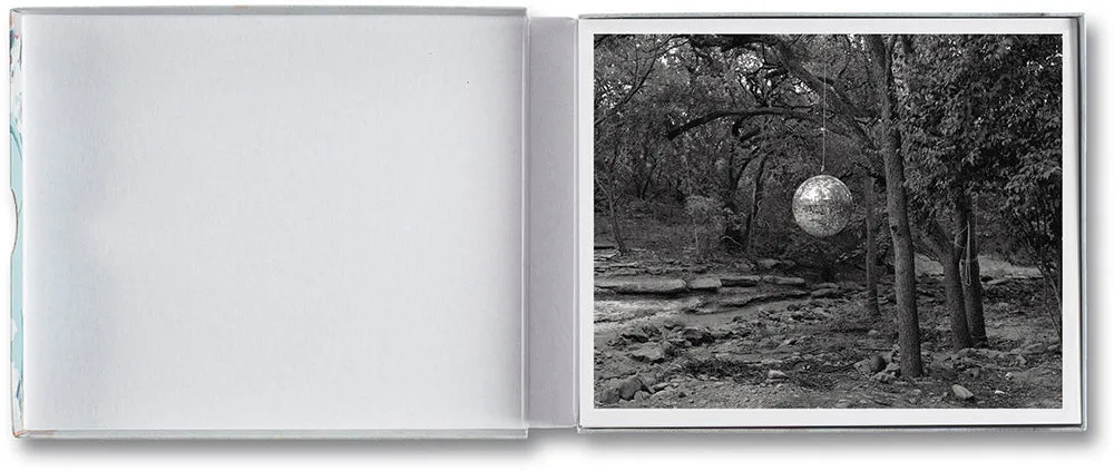 Gathered Leaves Postcards