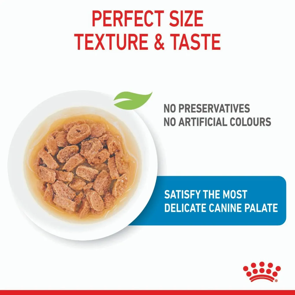 Royal Canin Mini Puppy Pouches