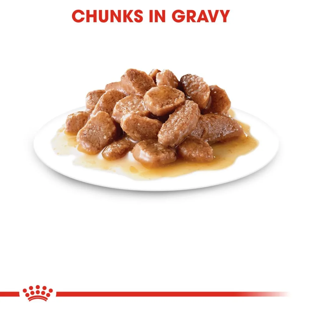 Royal Canin Urinary Care Gravy Pouches